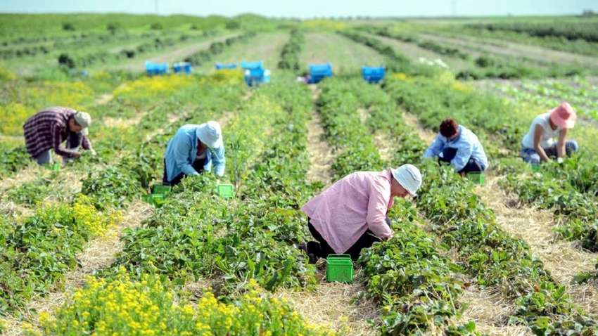Украинцы возвращаются домой: заробитчан в Европе становится все меньше
