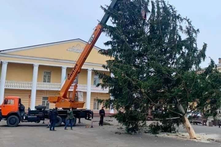 Елка с особым праздничным духом - главная новогодняя красавица Дубно приехала на площадь с местного кладбища Елка с особым праздничным духом - главная новогодняя красавица Дубно приехала на площадь с местного кладбища