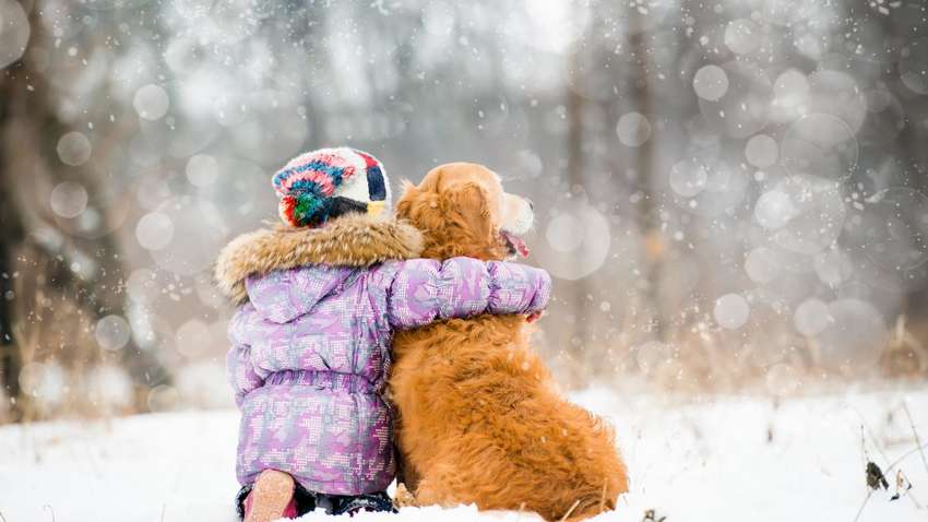 Скільки українці відпочиватимуть в лютому: чи будуть вихідні