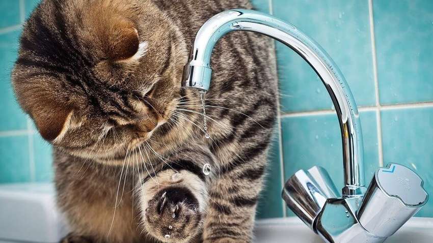 Тысячи одесситов останутся без воды: полный список адресов