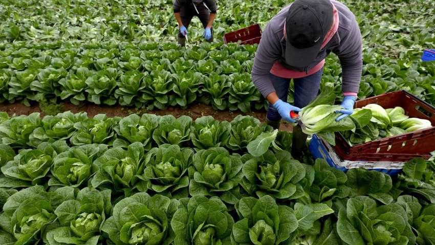 Стало известно, сколько украинцев вернулись из Польши с начала карантина