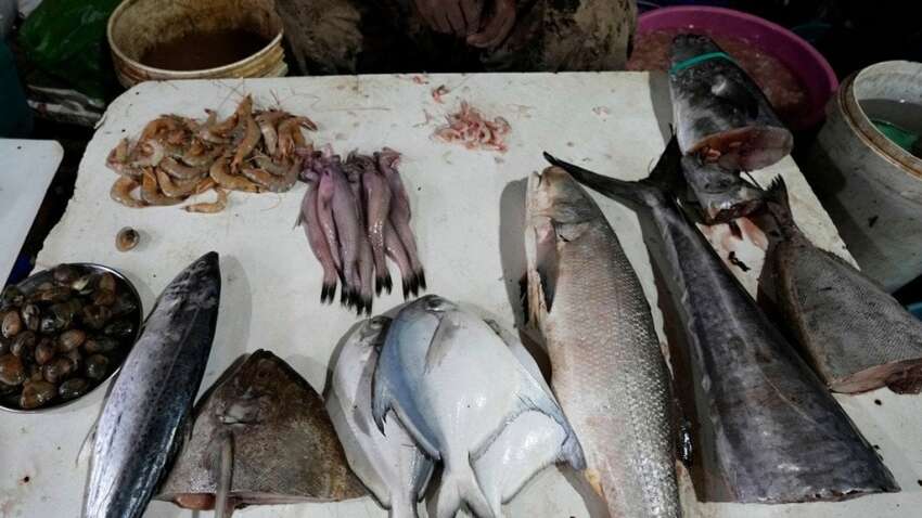 Вот когда рыба дает максимум полезных веществ: поразительное открытие 