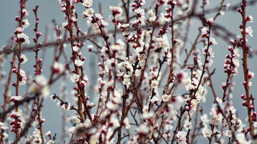 Церковный праздник 14 марта: строгие запреты дня