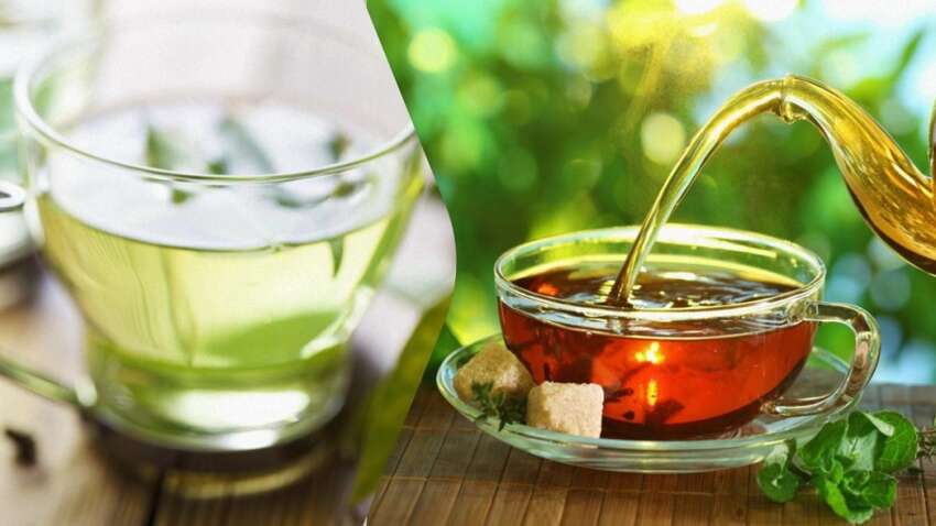 Черный или зеленый: эксперты раскрыли неожиданную правду о самом полезном чае  