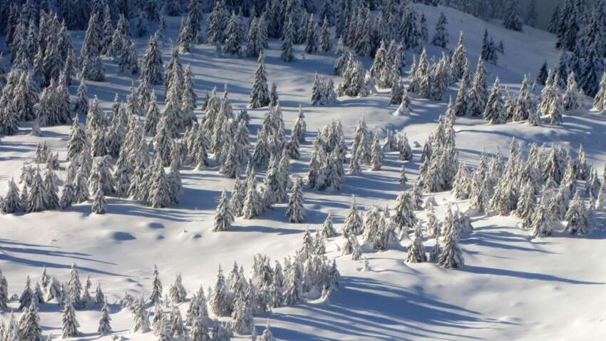 Церковне свято 3 січня: чому цей день вважається небезпечним