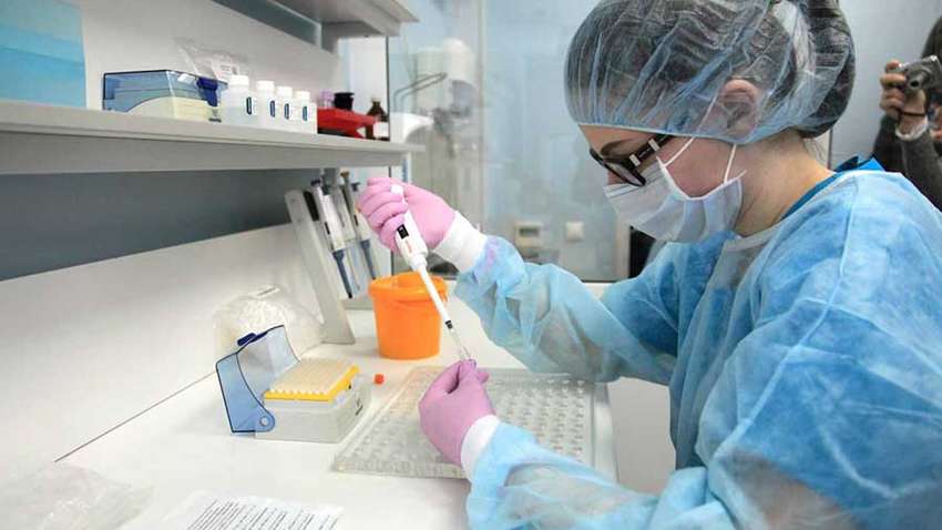 Как туристическая фирма подделала ПЦР-тесты на полмиллиона гривен Как туристическая фирма подделала ПЦР-тесты на полмиллиона гривен