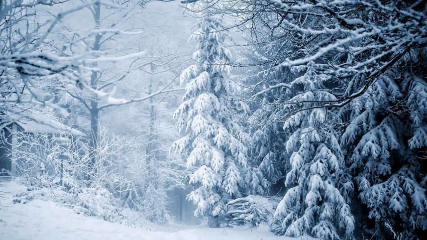 Приморозить 14-градусний мороз: повідомили, коли Україну буде замітати снігом