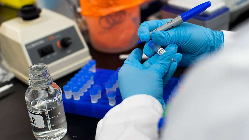 3,8 млн хворих і 263 тис. смертей: статистика коронавірусу у світі