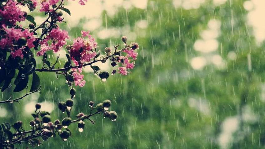 Літо розпочнеться дощами: прогноз погоди в Україні на 1 червня Літо розпочнеться дощами: прогноз погоди в Україні на 1 червня