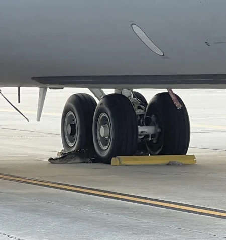 Неожиданный гость на военной базе: аллигатор блокирует взлетно-посадочную полосу Неожиданный гость на военной базе: аллигатор блокирует взлетно-посадочную полосу