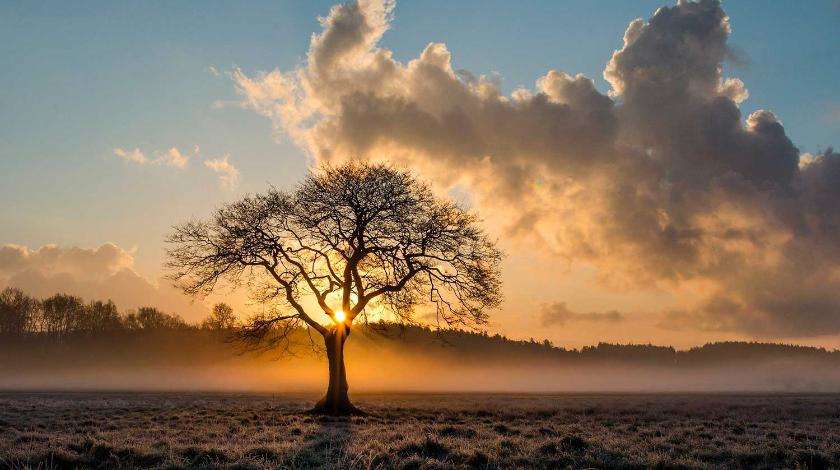 Никодимов день будет солнечным, но с утренними туманами - прогноз на пятницу, 13 ноября