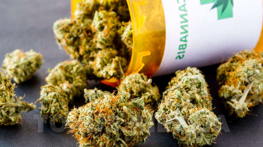 ООН викреслила марихуану зі списку небезпечних наркотиків ООН викреслила марихуану зі списку небезпечних наркотиків