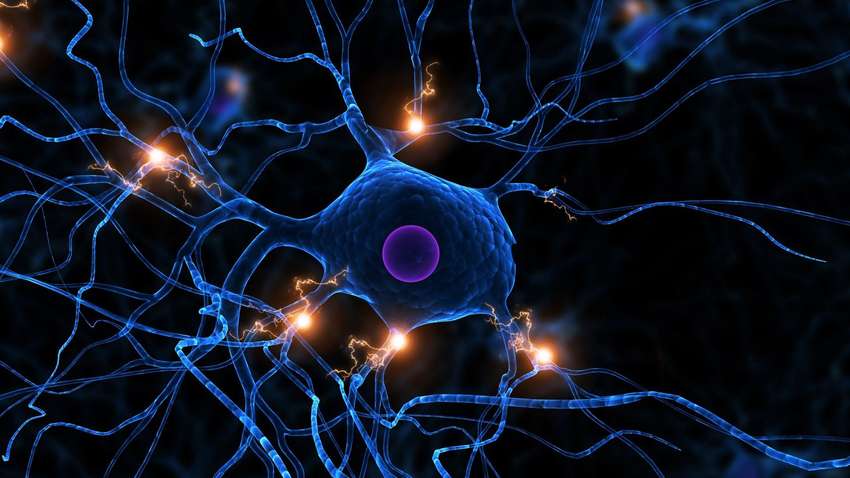 Как быстро восстановить свои нервные клетки