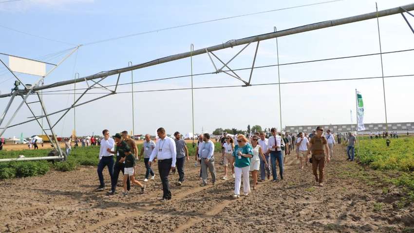 Национальный день картофеля 2021: в Минагрополитики настроены очень амбициозно Национальный день картофеля 2021: в Минагрополитики настроены очень амбициозно