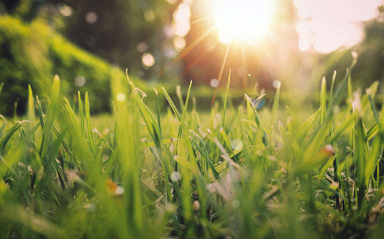 Прогноз погоди в Україні: спека наступає