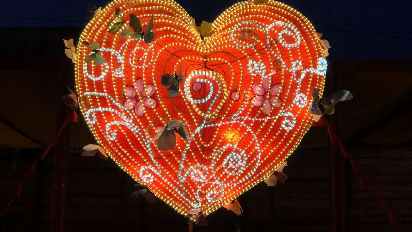 Фестиваль гігантських китайських ліхтарів у Харкові можуть безкоштовно відвідати діти соціально незахищених категорій