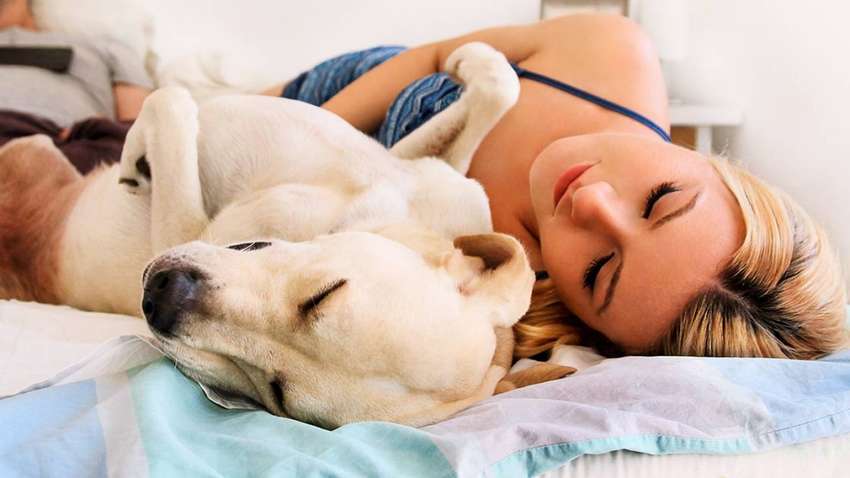 Хорошие фотографии, которые стоит посмотреть перед сном