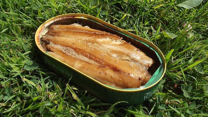 Лосось пролежал в банке 50 лет: увиденное стало сенсацией даже для опытных ученых 