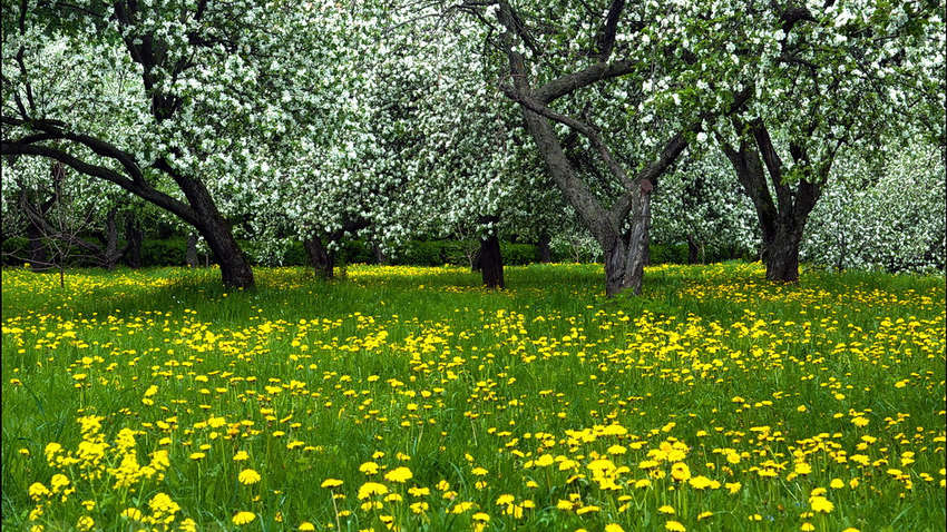 Идеальной погоды не будет: прогноз на Пасху в Украине