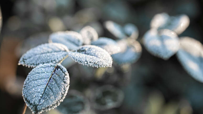 Весна отступит: Украину накроют морозы до -13°C: синоптик назвал самые опасные даты марта