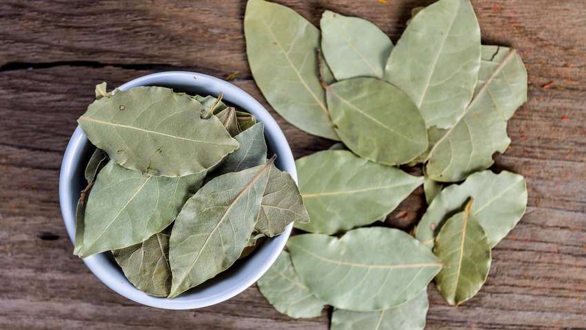 Какие популярные специи способны навредить здоровью