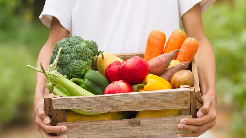 Українські фермери відмовляються вирощувати найзатребуваніші овочі: в чому причина