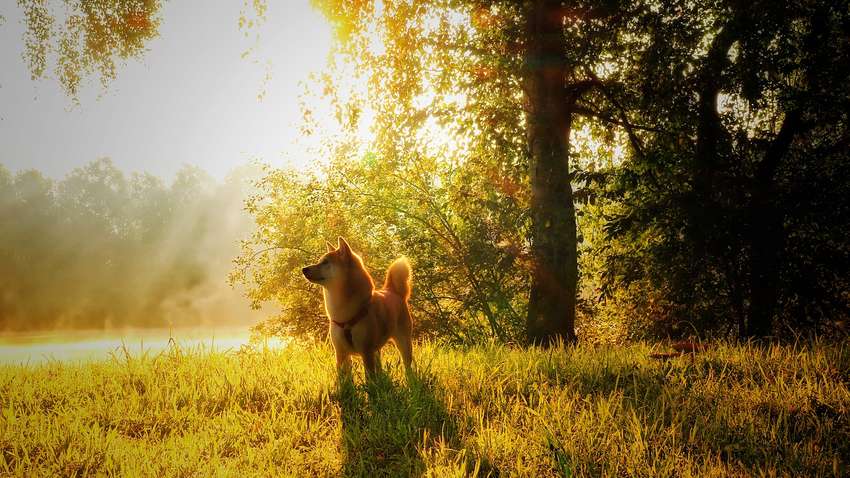 Погода на ближайшие дни: в Украину идет похолодание