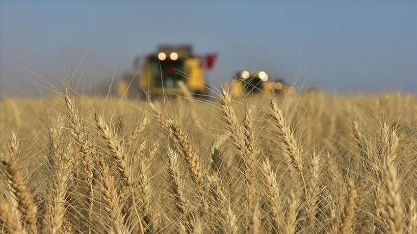 Як під час війни та після неї підтримати АПК України – на що аграрії чекають від влади