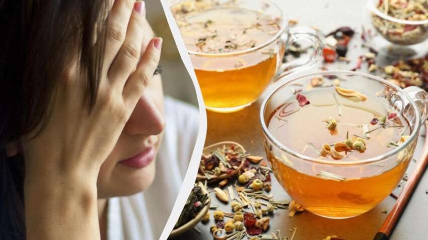 О головной боли можно забыть: эксперты назвали 7 лучших чаев О головной боли можно забыть: эксперты назвали 7 лучших чаев