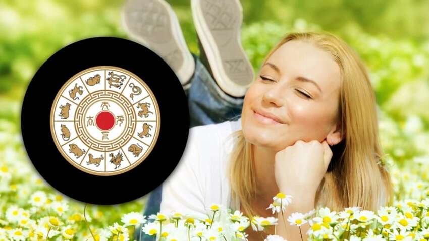 Только эти 6 знаков китайского зодиака 30 апреля ждет большая удача и успех