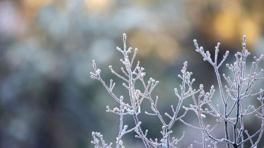 Украину скоро накроет мороз до -18°С и штормовой ветер: когда и где изменится погода