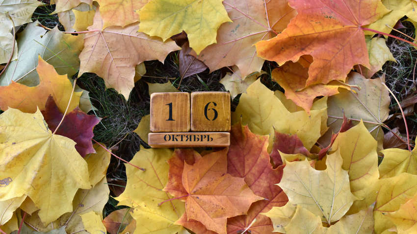 Яким буде 16 жовтня: ТОП подій сьогоднішнього дня