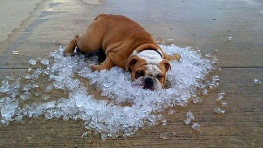 Прогноз погоди на 28 серпня