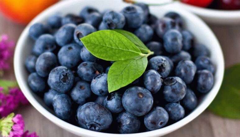 Этим людям может навредить черника: кому ее следует избегать Этим людям может навредить черника: кому ее следует избегать