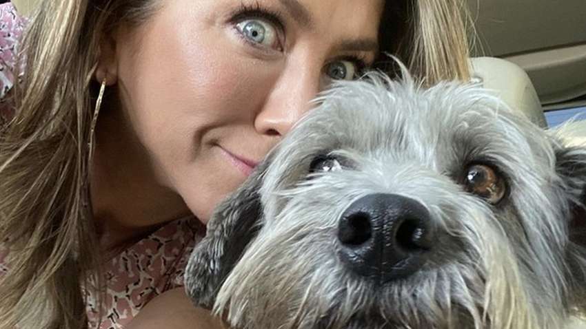 Что делать на карантине: совет от Дженнифер Энистон