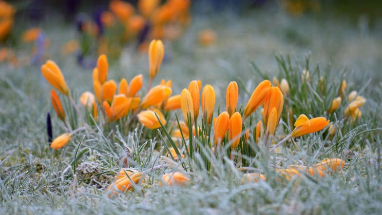 Синоптик прогнозує морози в Україні: що чекати цього тижня