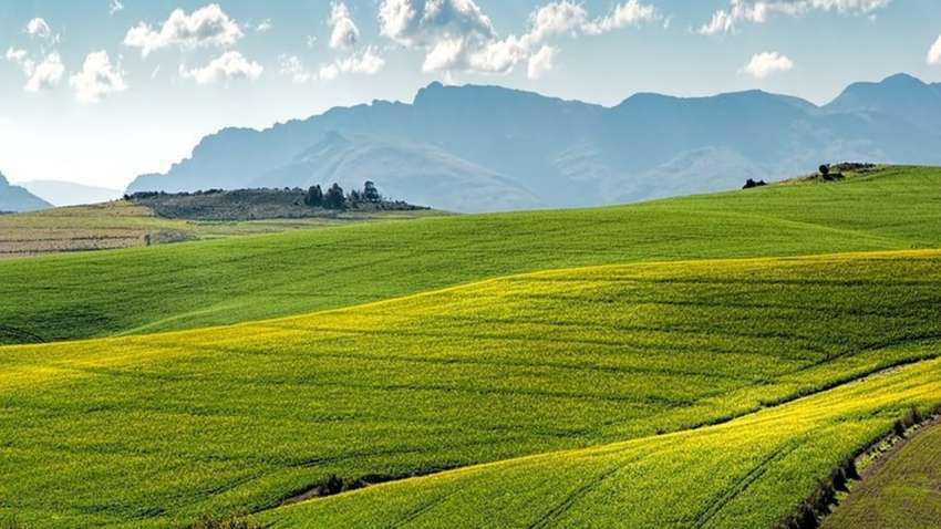 Инструкция для тех, кто хочет продать участок арендуемой земли Инструкция для тех, кто хочет продать участок арендуемой земли