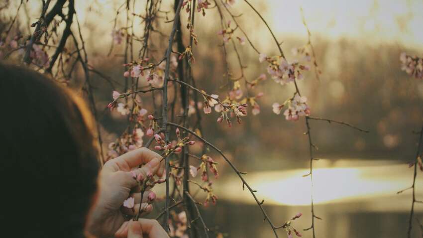 Церковный праздник 7 марта: почему сегодня одна из важных дат в календаре