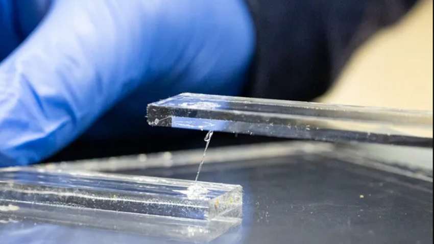 Ученые создали самый крепкий клей на планете: с чего он сделан