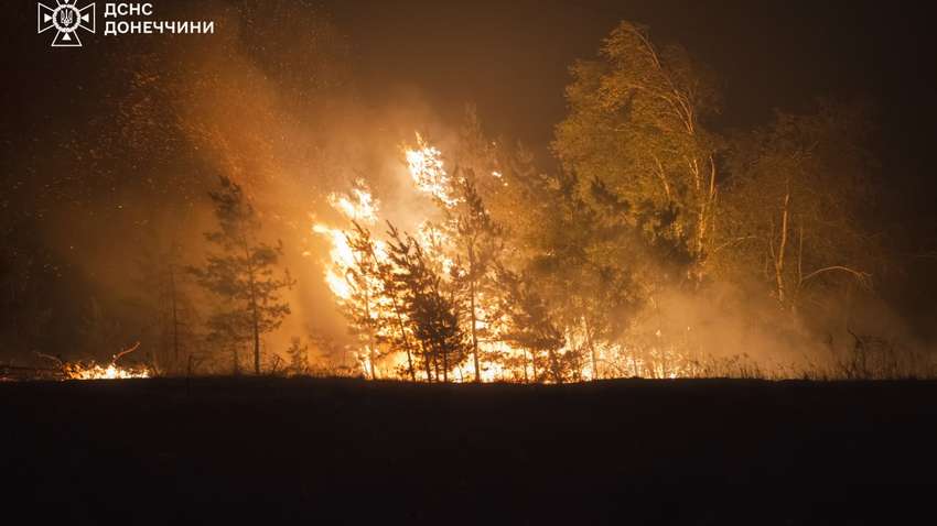 Горит более 240 гектаров леса: страшный пожар накрыл Донетчину (ВИДЕО)