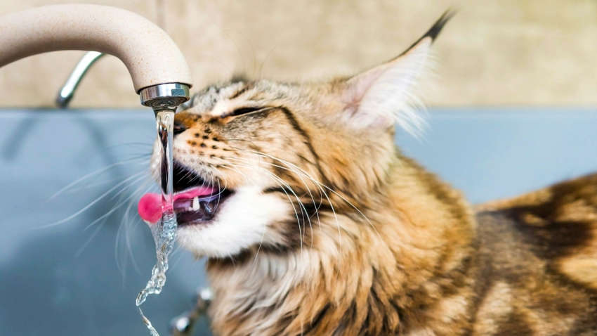 Частина Одеси залишиться без води: перелік адрес Частина Одеси залишиться без води: перелік адрес