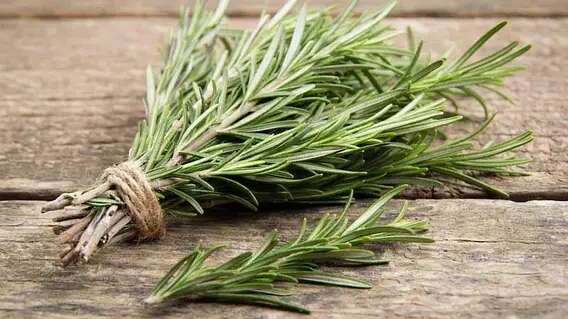 Память улучшится в разы: какой продукт нужно добавить в рацион