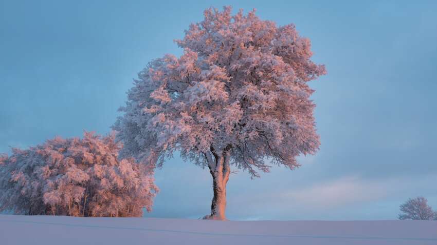 Какой церковный праздник 19 января: что нужно сделать для привлечения денег