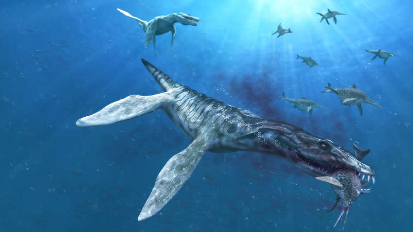 Ученые обнаружили останки древнейшего морского чудовища