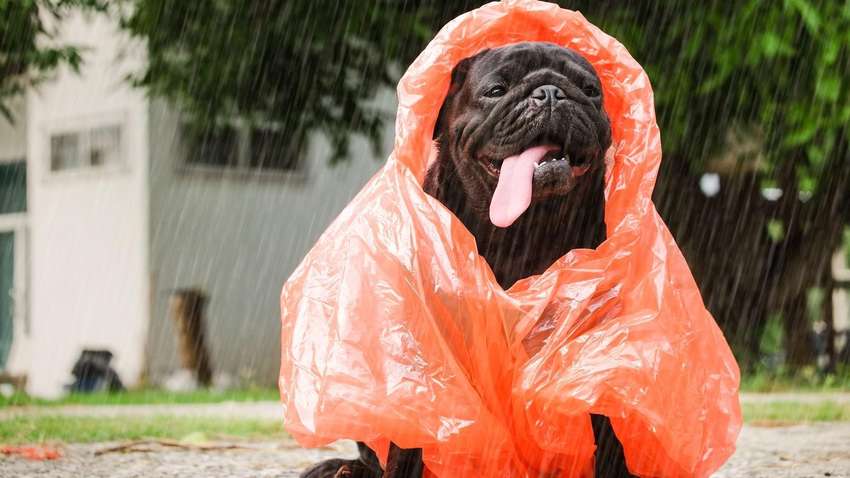 В Україну йде похолодання: якої погоди очікувати на вихідних В Україну йде похолодання: якої погоди очікувати на вихідних