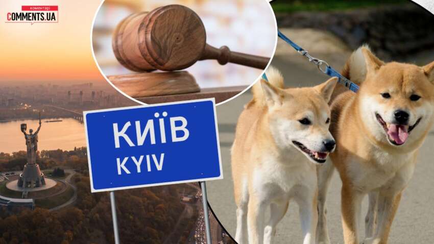 Что делать, если владельцы выгуливают собак без поводка и намордника: официальный ответ полиции Киева