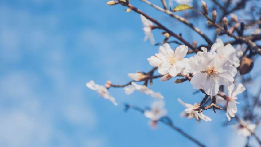 Три главных запрета в церковный праздник 27 апреля: чем опасен этот день