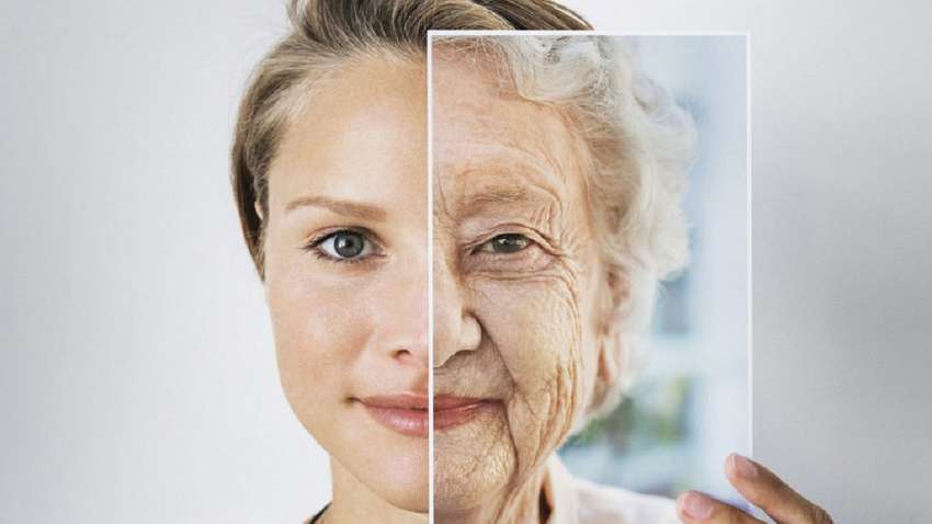 Названы органы, которые стареют быстрее всего