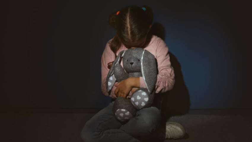 Ужас в Киевской области: таксист пытался похитить 6-летнюю девочку – суд вынес возмутительный приговор