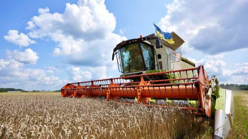 Продовольча безпека України під великим питанням: експерти б'ють на сполох через причину